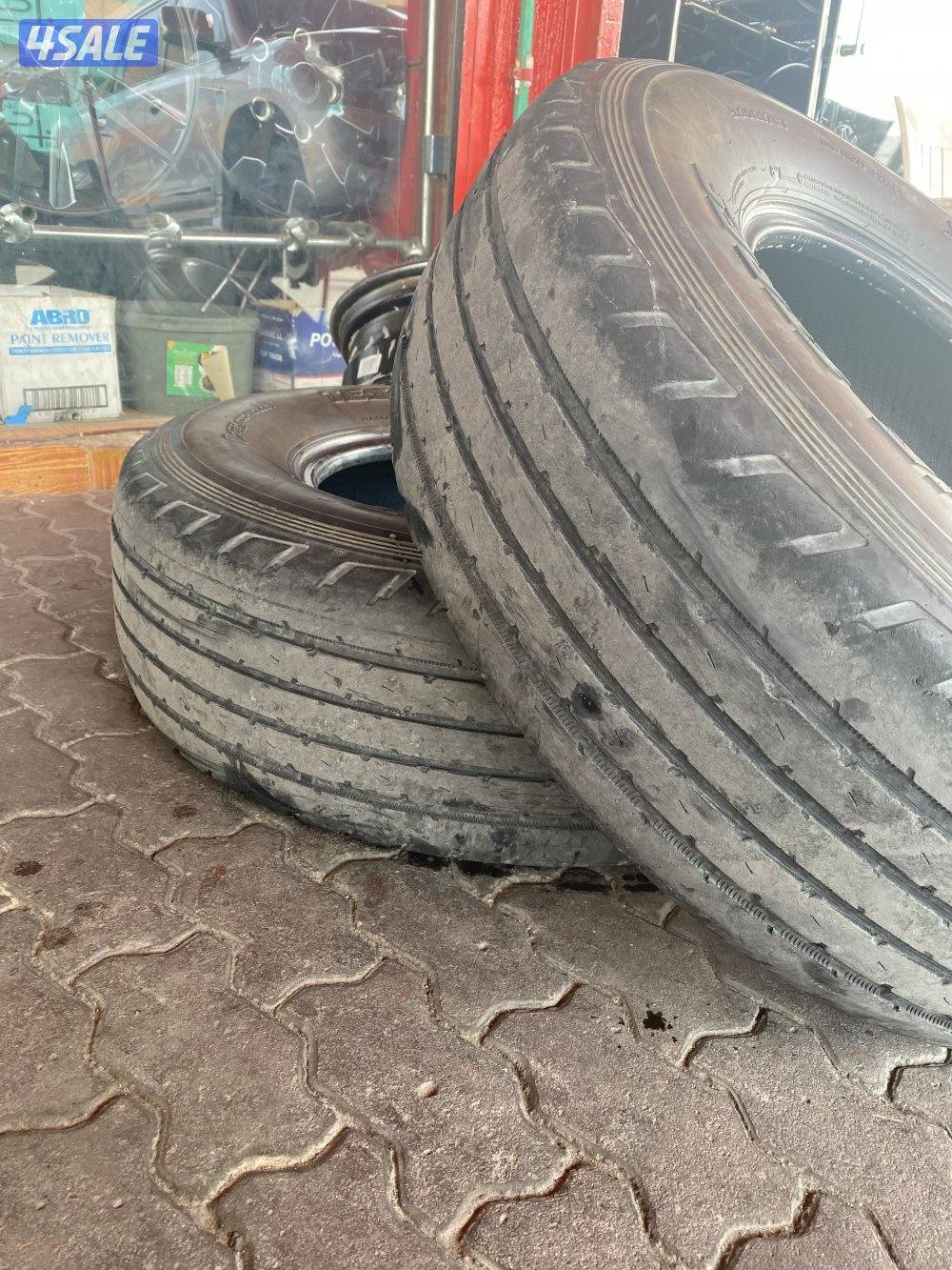 للبيع شواهين حجم 171