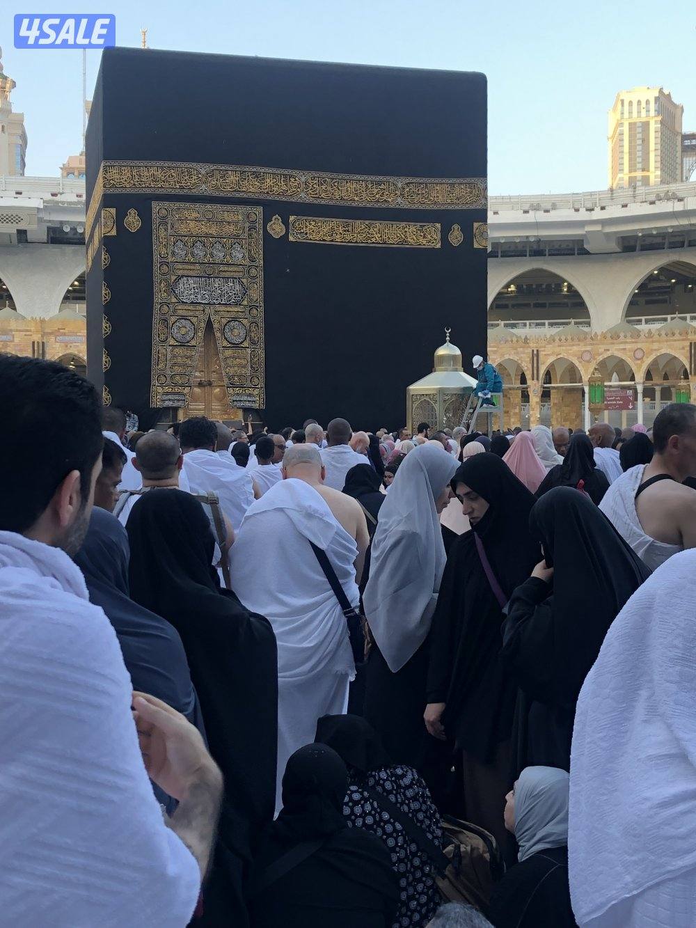 مدرس خاص ثاني عشر فقط0