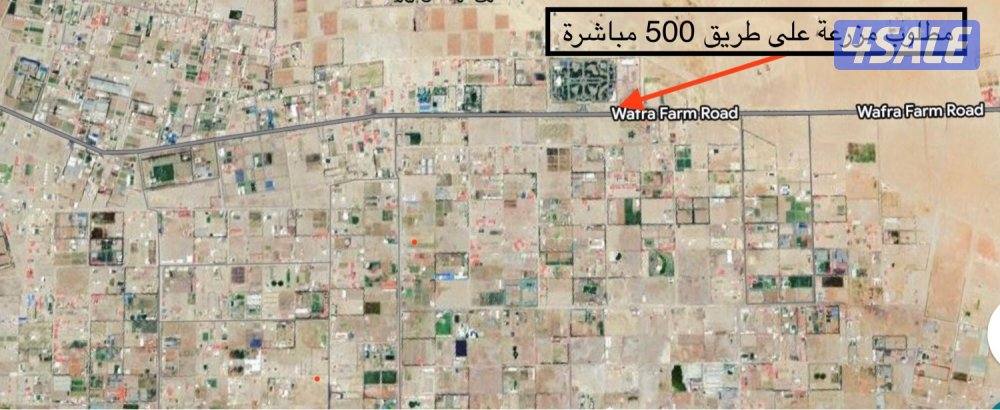 مطلوب مزرعة بالوفرة على طريق 500 مباشرة ، المتفرع من طريق النويصيب0
