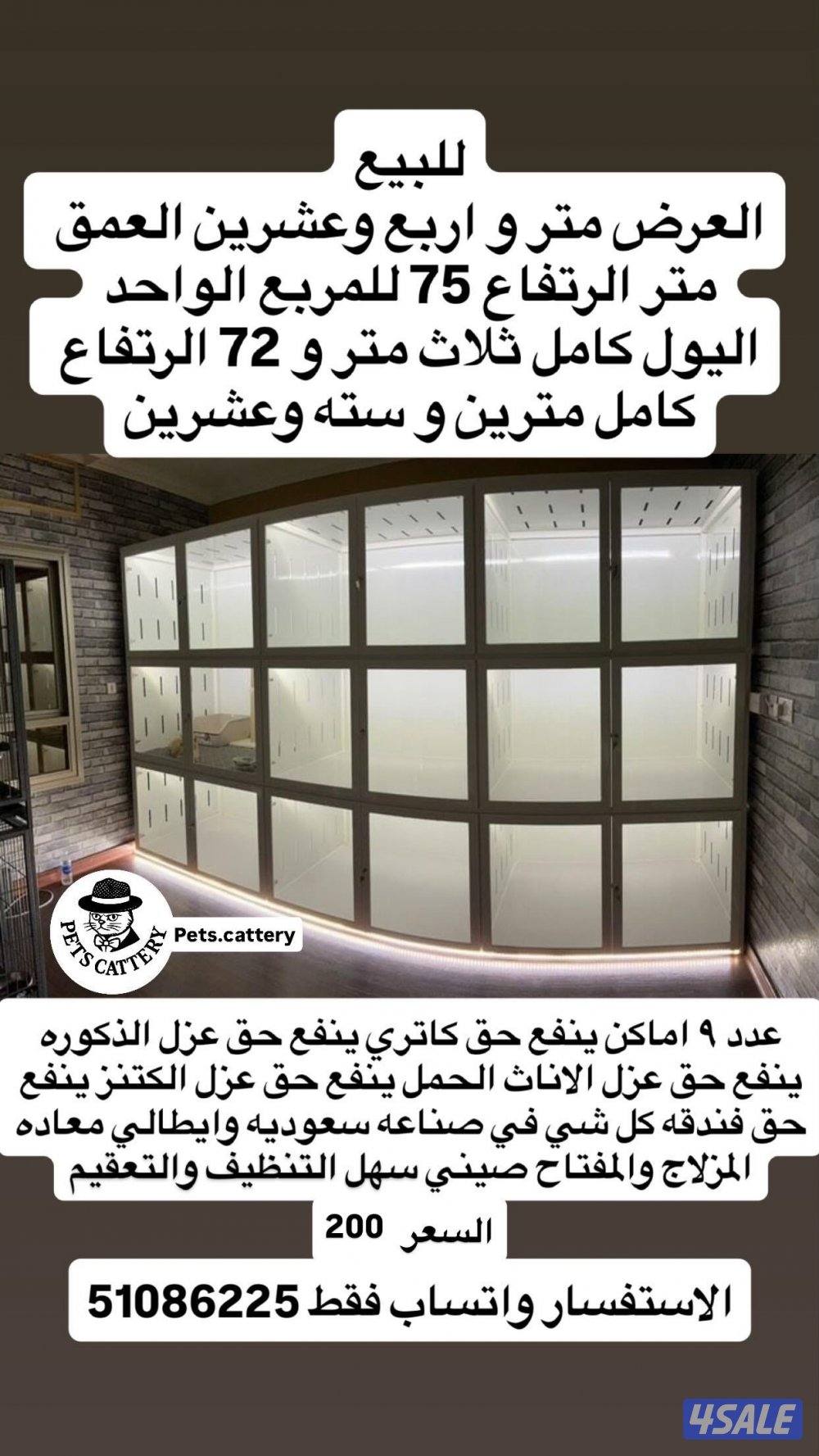 لي محبين القطط0