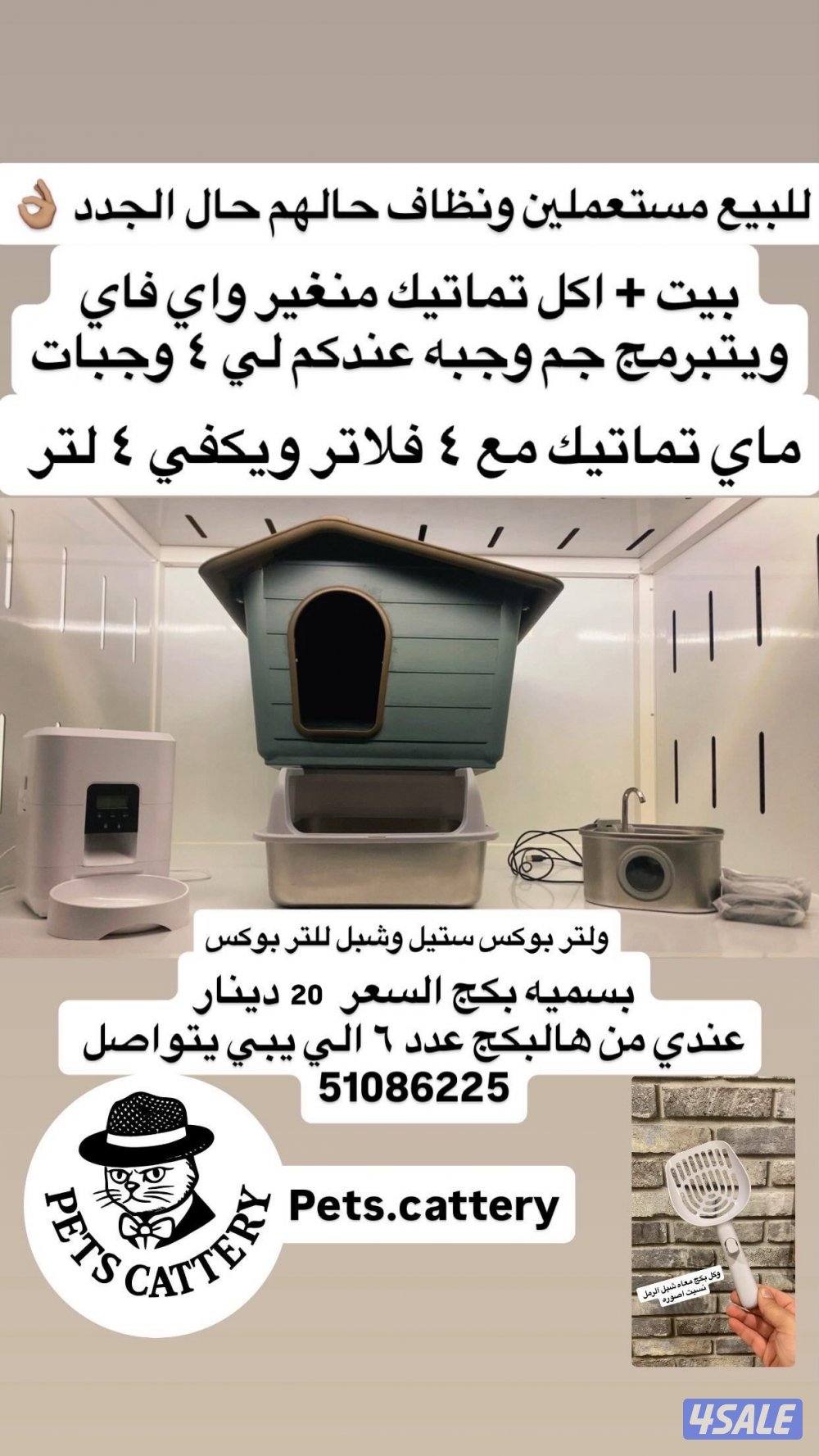 لي محبين القطط1