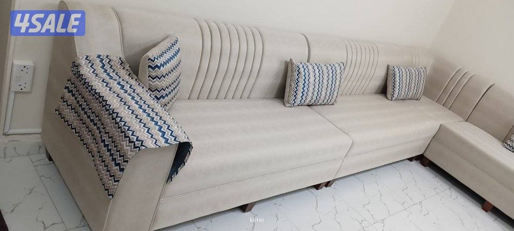 الضجيج الفراينه4