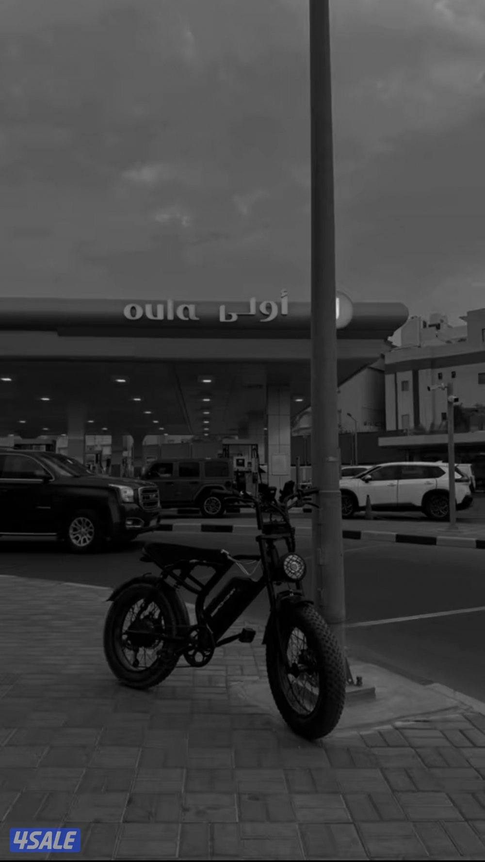 Windhorse v8 e-bike4