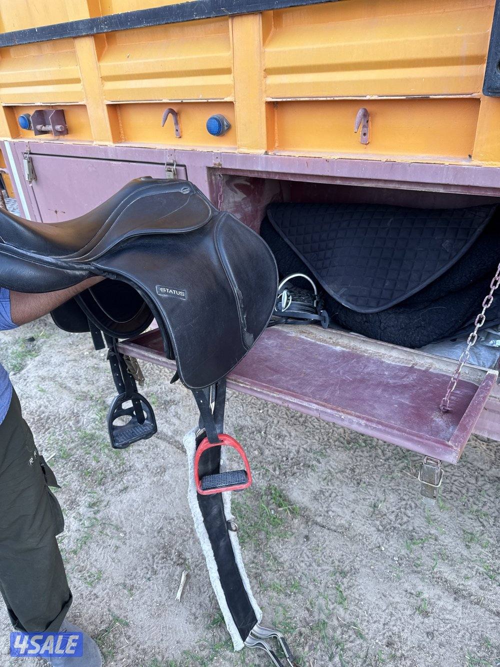 للبيع فرس بلديه هاديه جداً للكبار وللصغار العمر ٩ سلم بدي و ارحام2