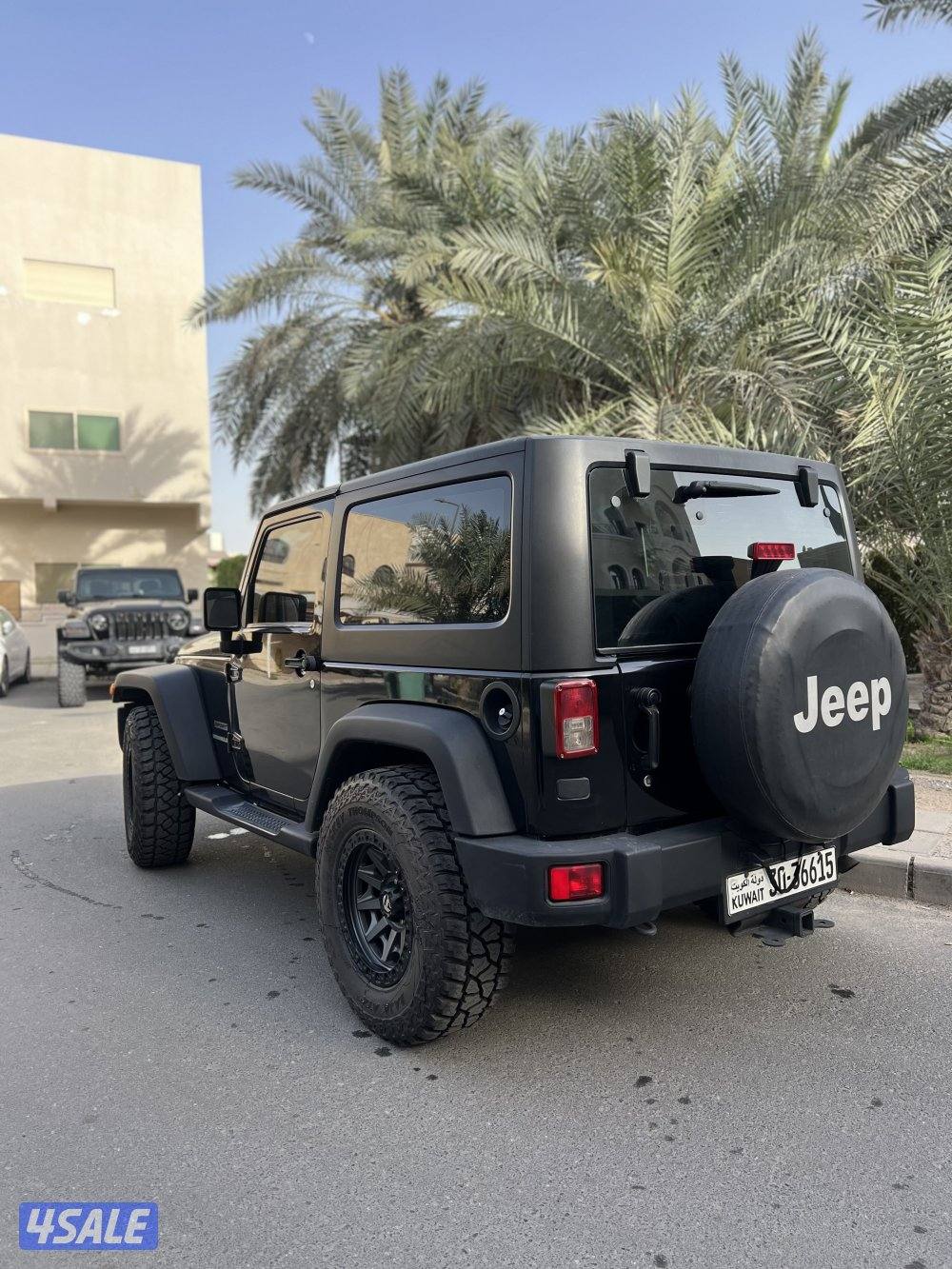 جيب رايقلر 20121