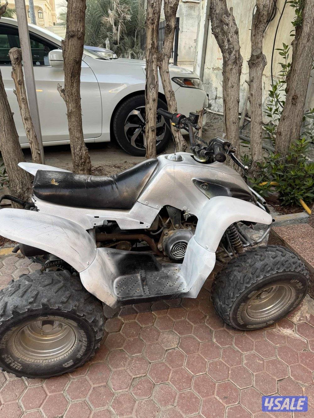 بقي صيني نظيف0