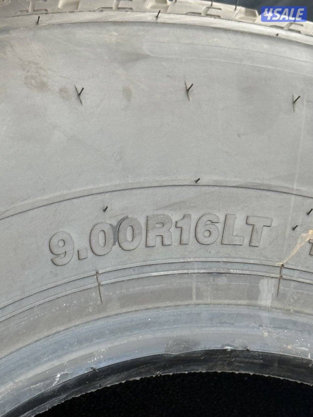 للبيع شواهين نظاف جدا1