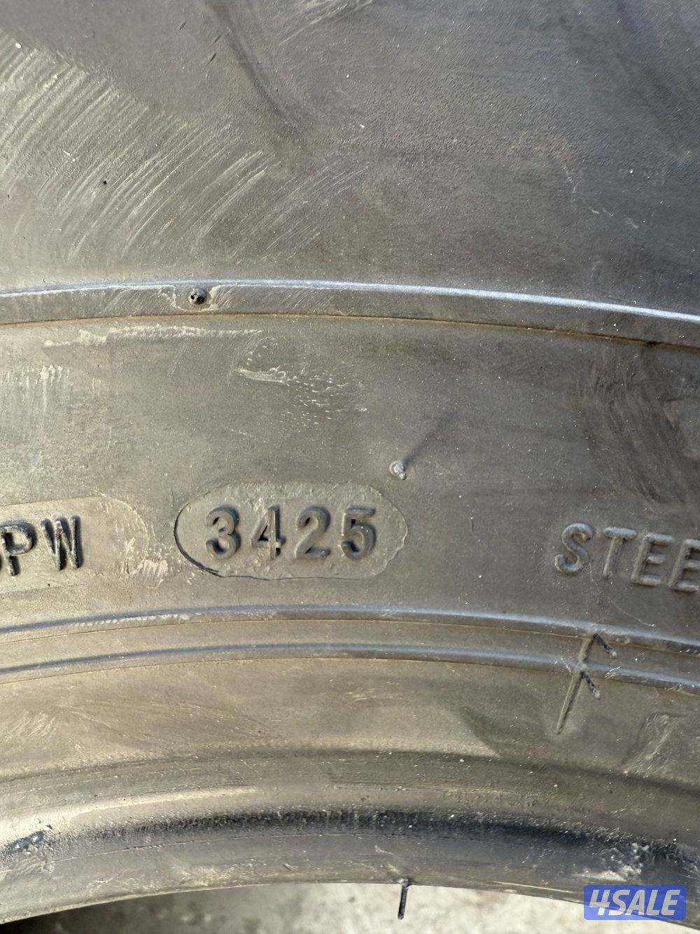 للبيع شواهين نظاف جدا3