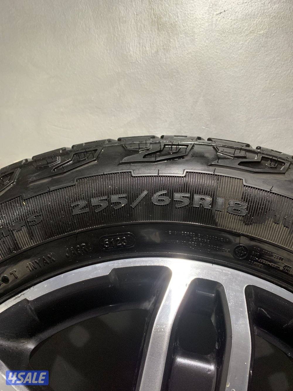 رنجات وانيت فورد1