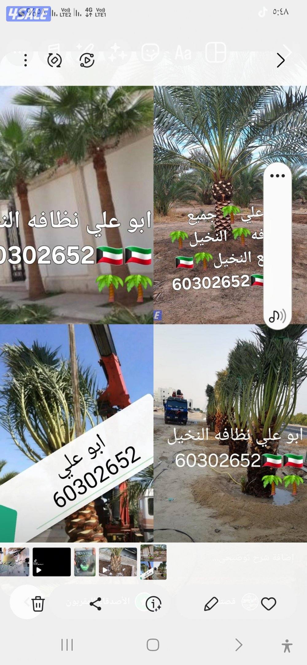 نظافه النخيل 🌴 خبره 20 عام قص 🎄جميع الأشجار 🌲أسعار مغريه ابو علي 🌴12