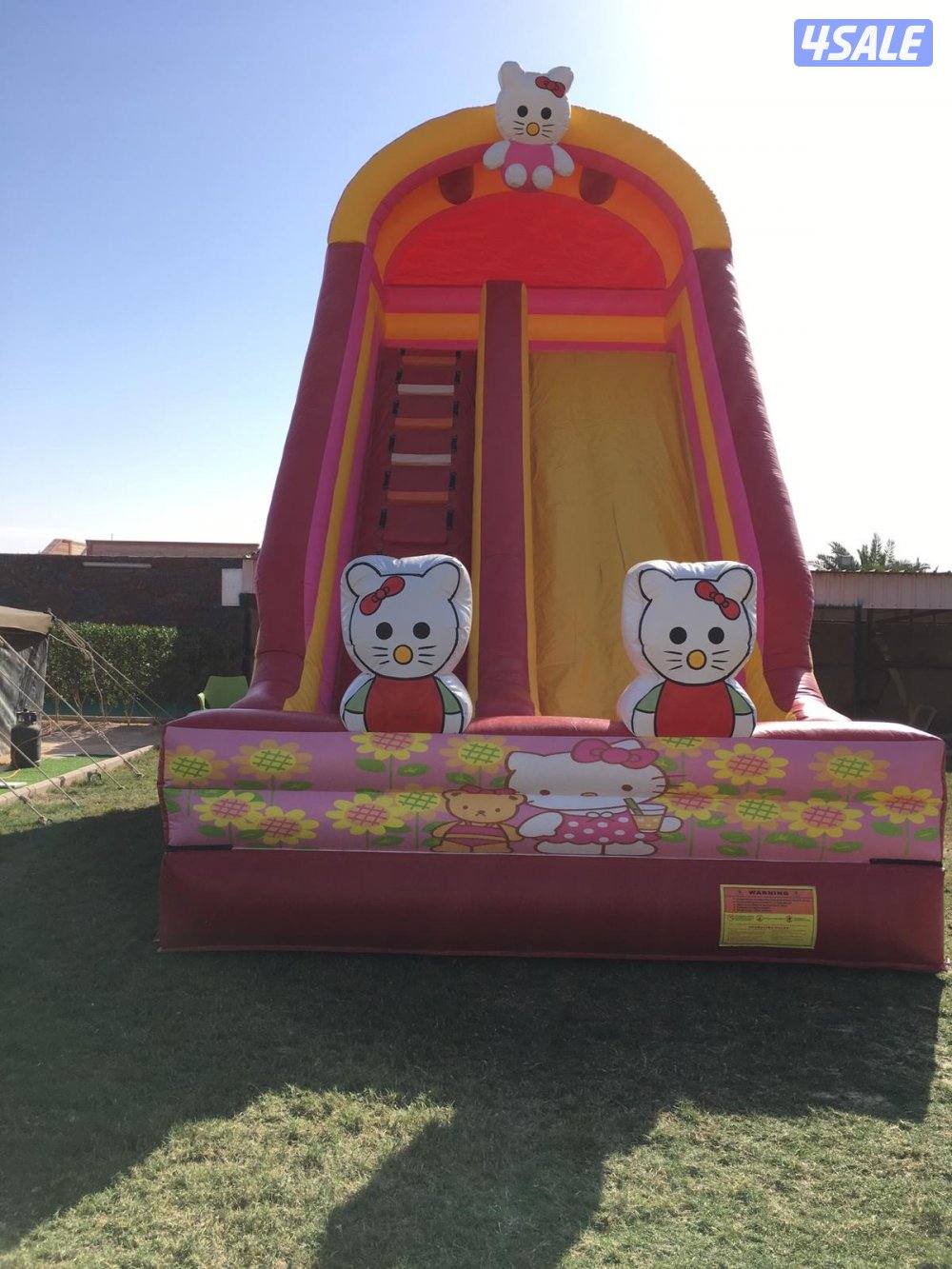 تاجير نطاطيات4