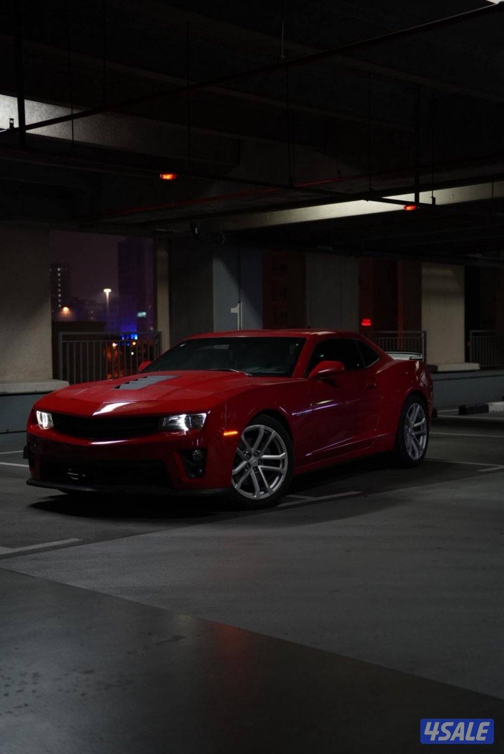 كمارو للبيع1