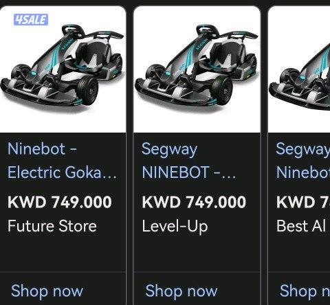 SEGWAY GO KART PRO 20
