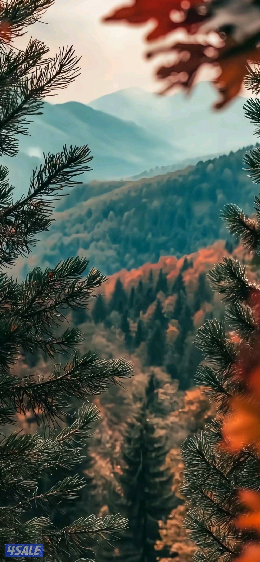 شاب سوداني موجود بالكويت احتاج وظيفة جاهز فورا0