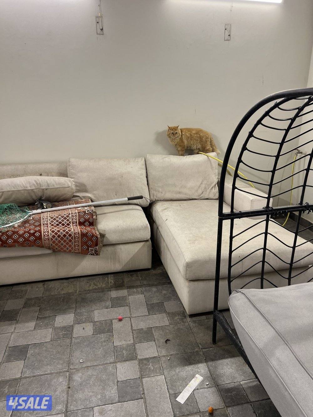 صوفا ابيات جديده بيعه سريعه لعدم توفر مساحه0