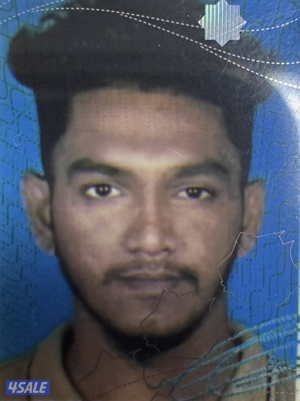 سيلاني يبحث عن عمل0