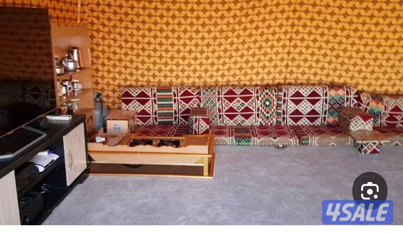 مطلوب شراع الصباح صفرا( مشجره ) شرط النظافه0