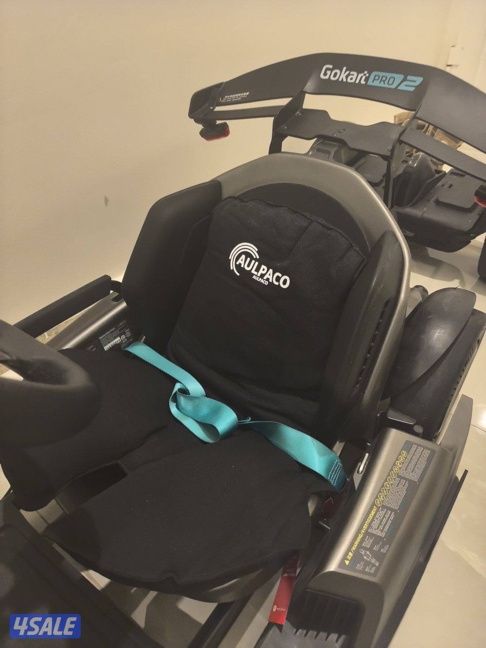 SEGWAY GO KART PRO 23