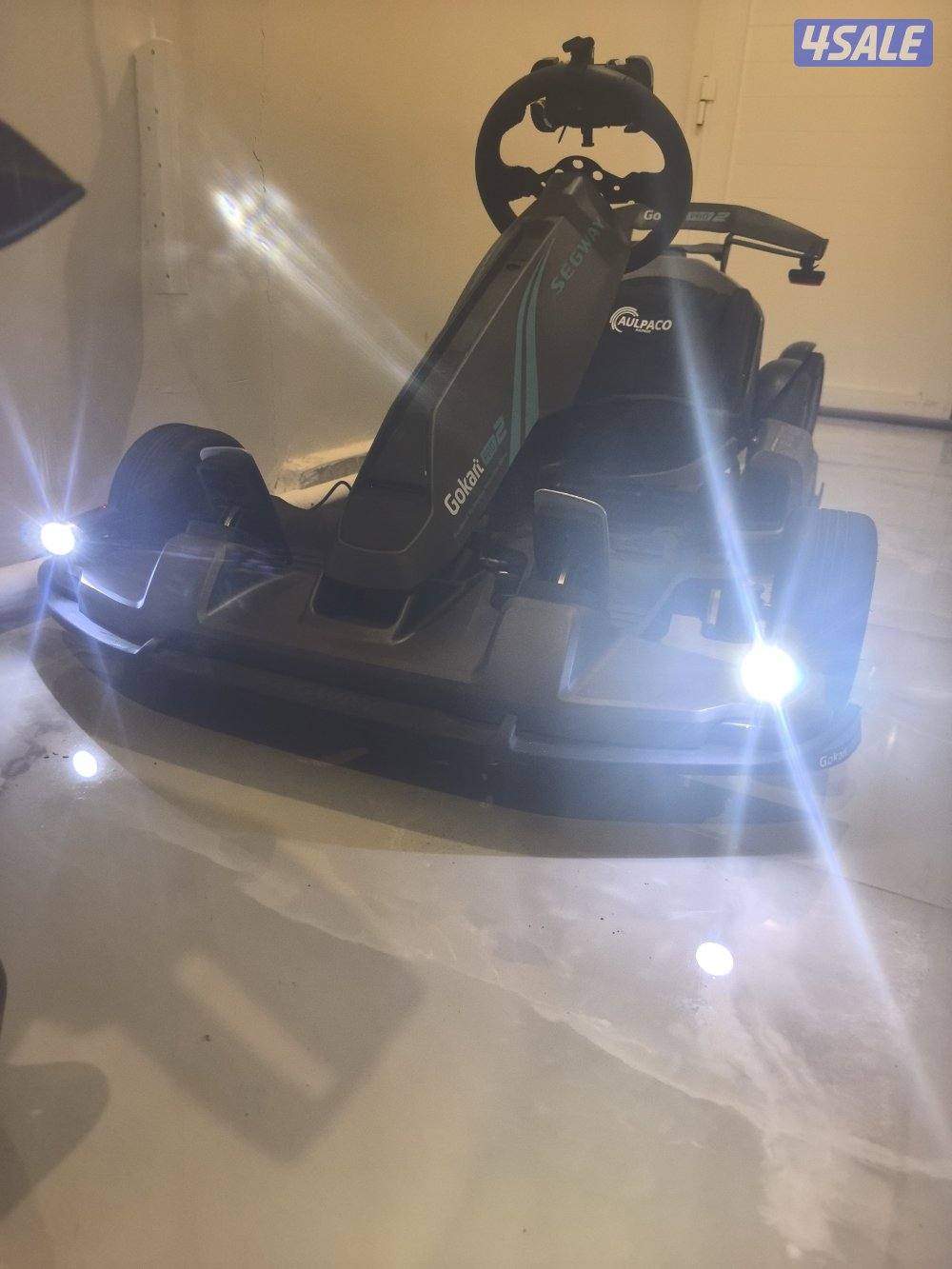 SEGWAY GO KART PRO 25
