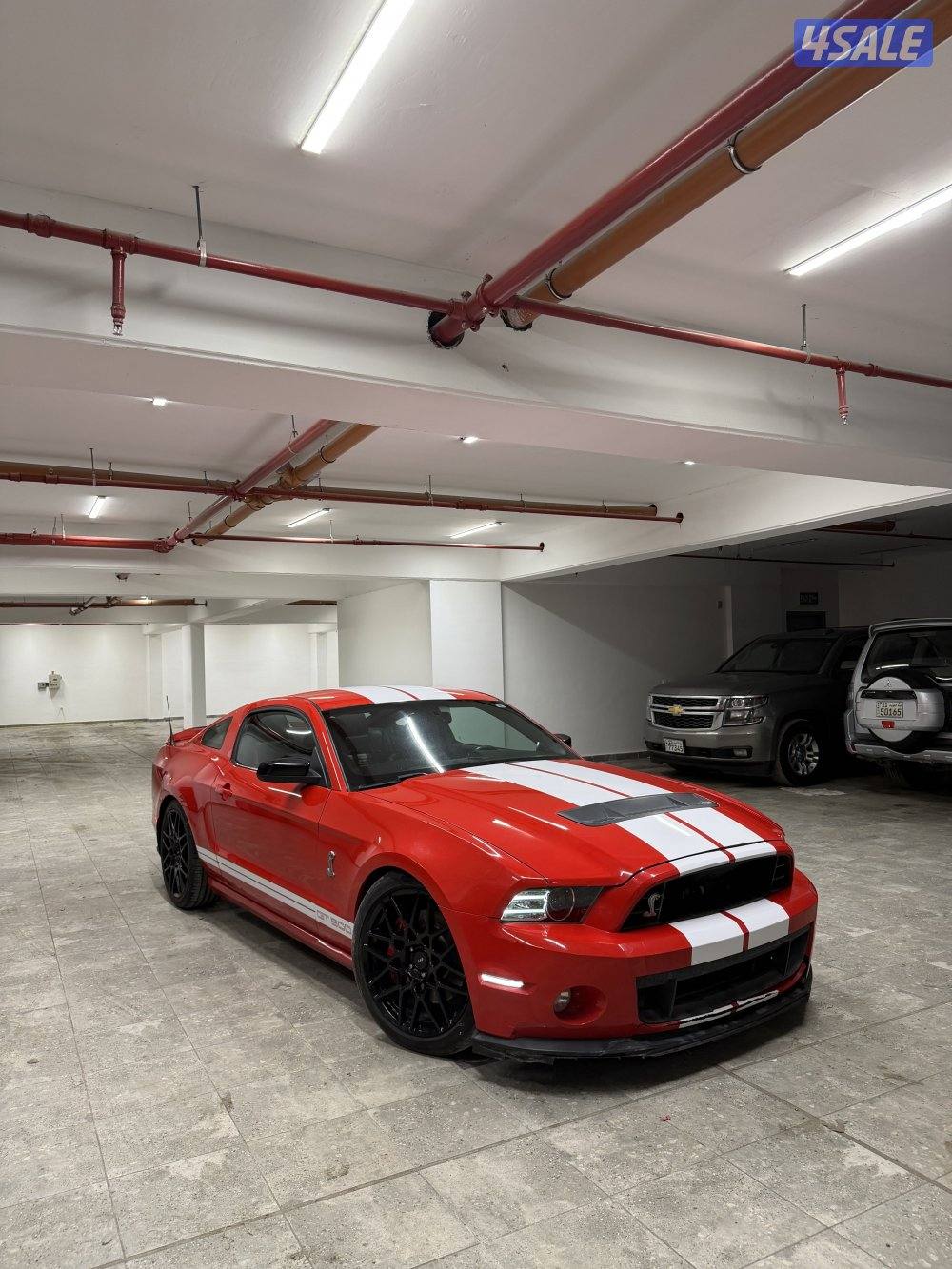 للبيع موستنق شلبي SVT PACKAGES اعلى مواصفات شرط الفحص صبغ الوكالة7