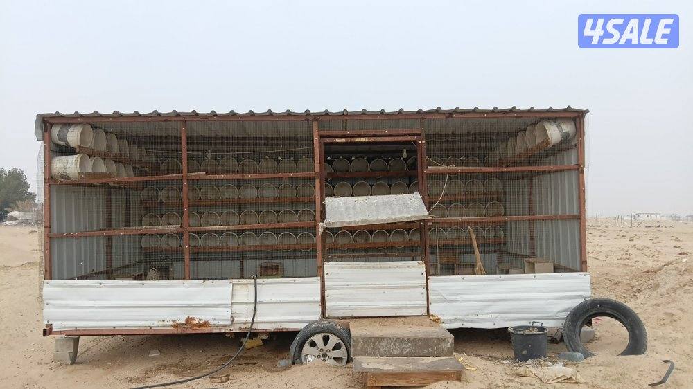 للبيع عزبة مع مكينة3