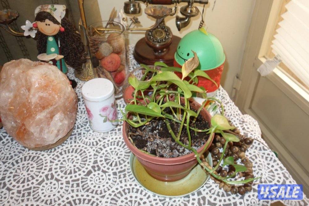 Camera sony rx100 iv8