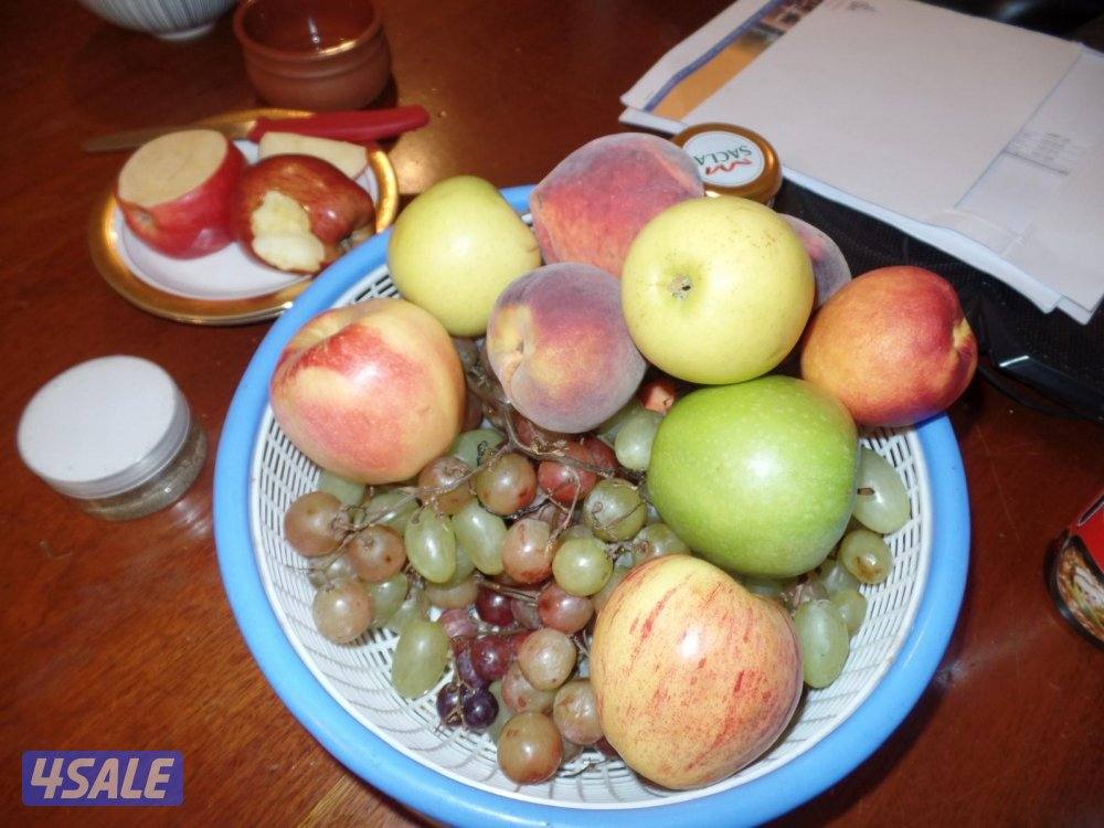 كاميرا سامسونغ صورها اقوى من g7x14