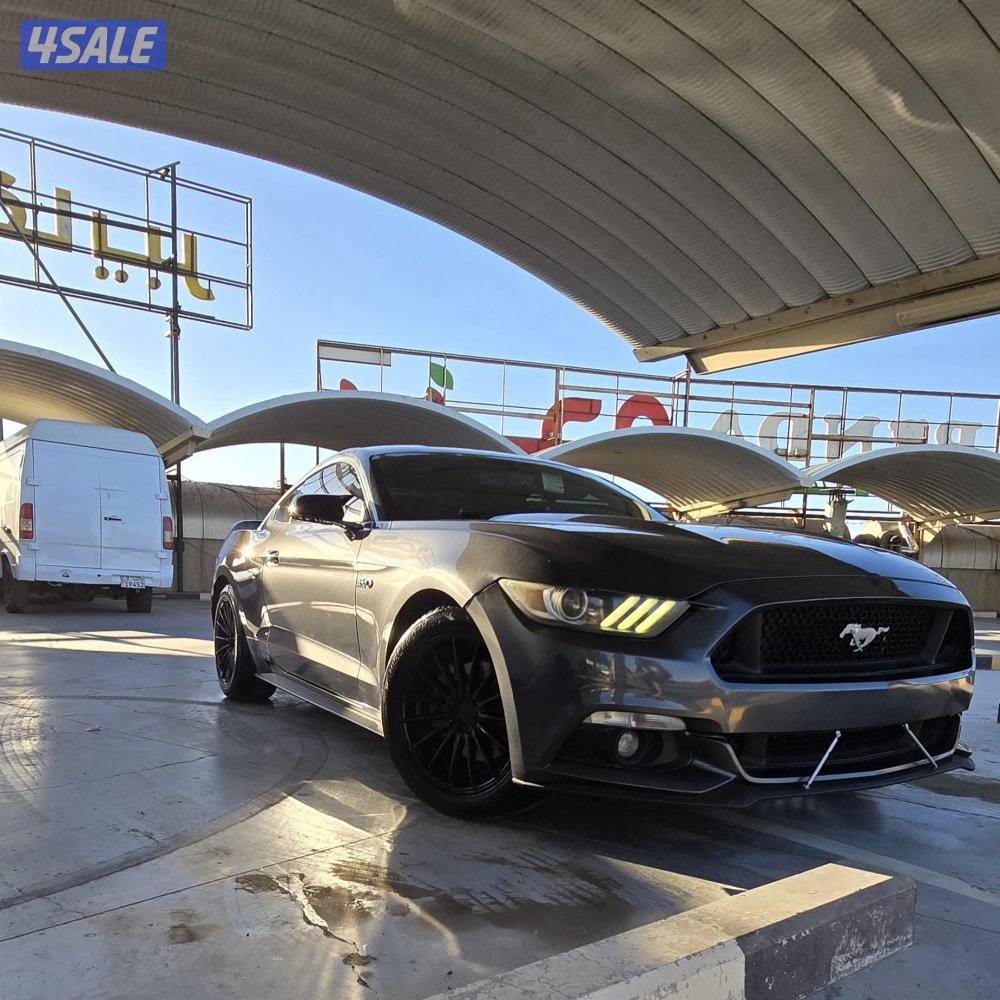 موستنق ٢٠١٥1