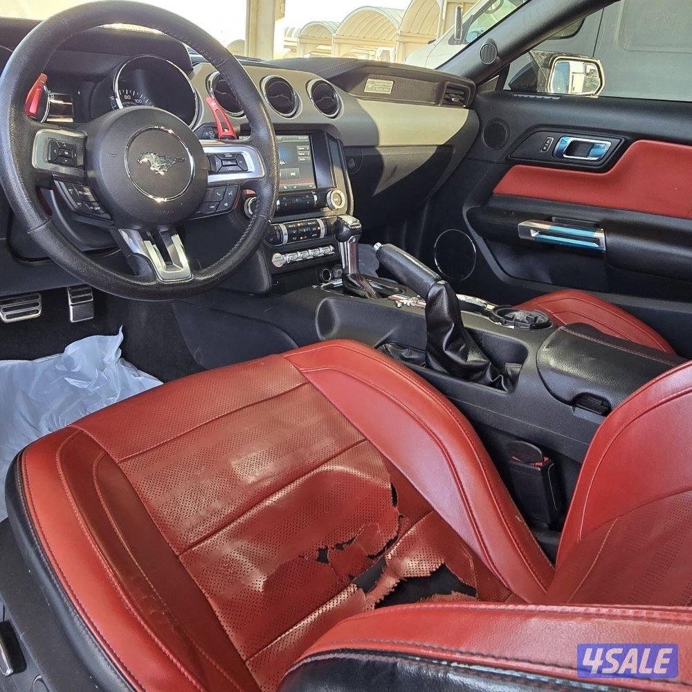 موستنق ٢٠١٥4