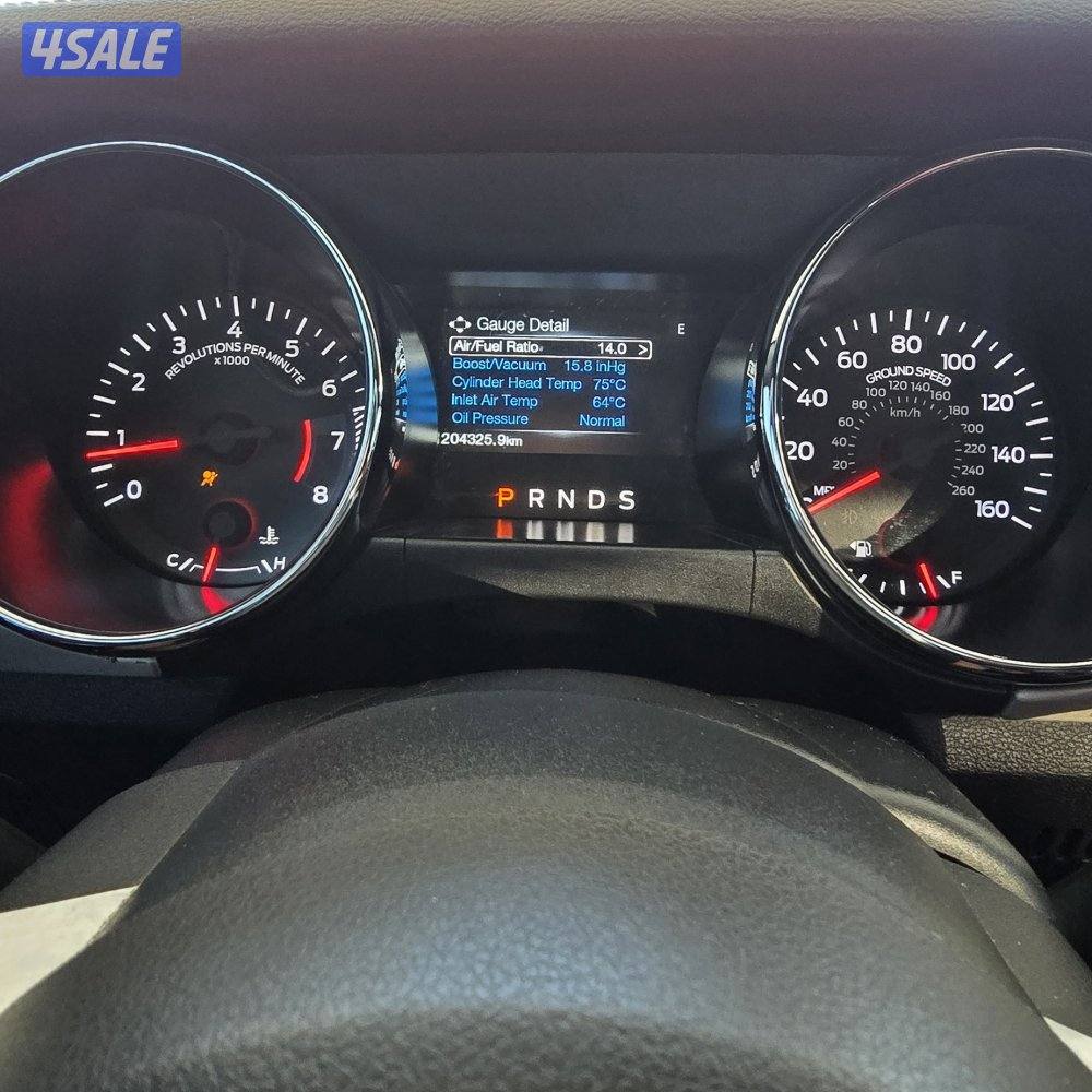 موستنق ٢٠١٥3