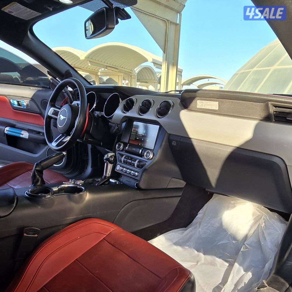 موستنق ٢٠١٥5