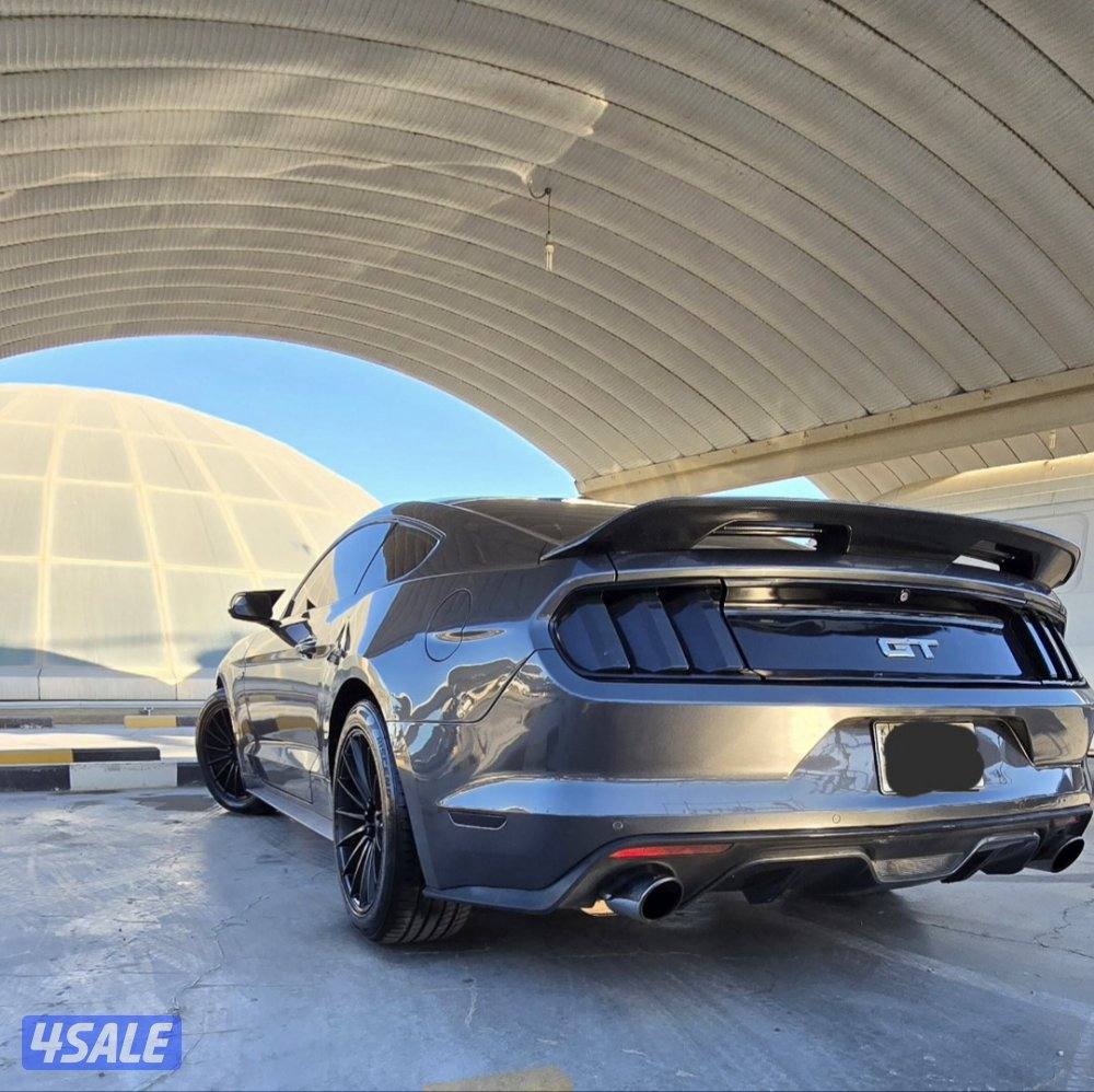 موستنق ٢٠١٥7