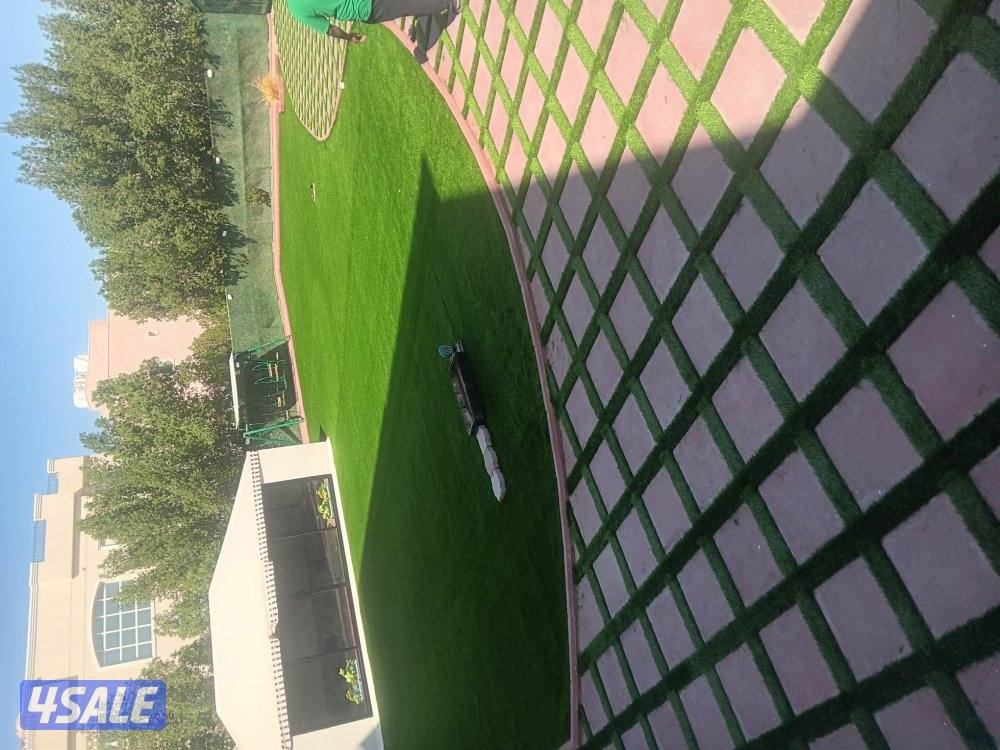 تنسيق حدائق عامه6