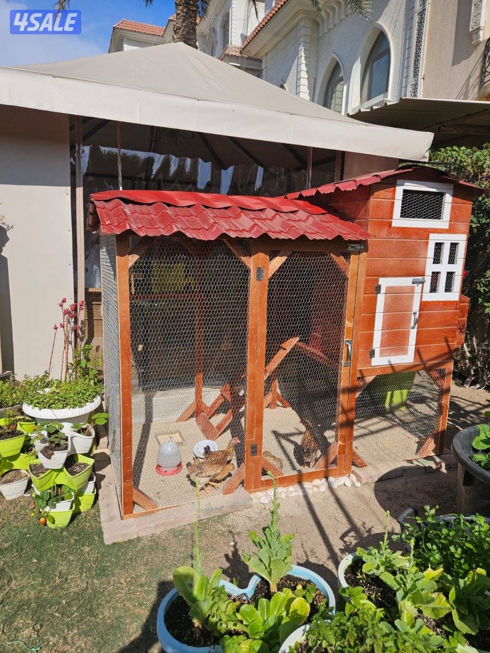 محميات الطيور الخشبية 🪵7