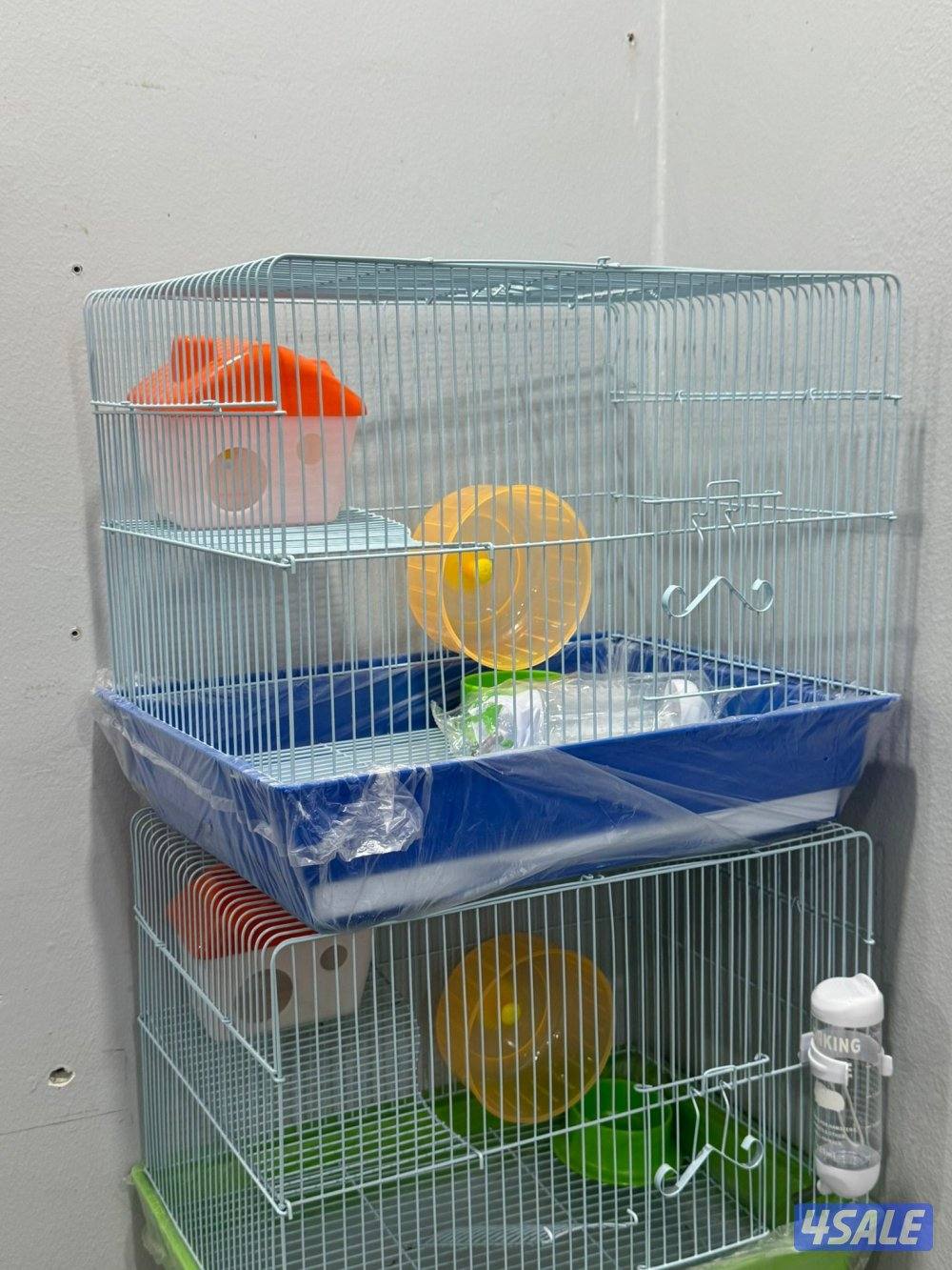 هامستر سوري 🐹💕 Syrian Hamster10