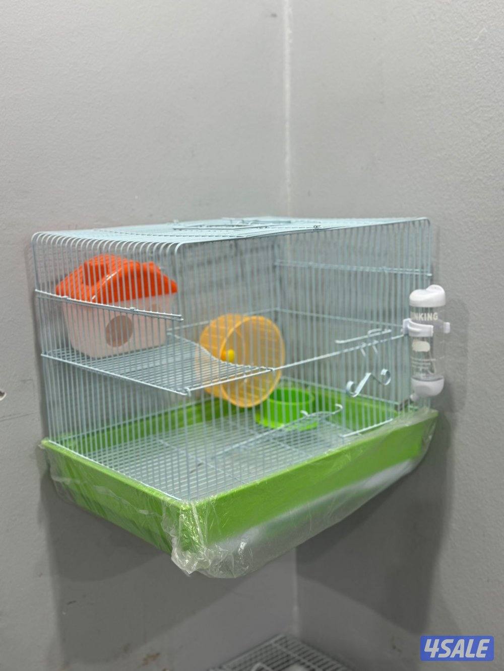 هامستر سوري 🐹💕 Syrian Hamster11