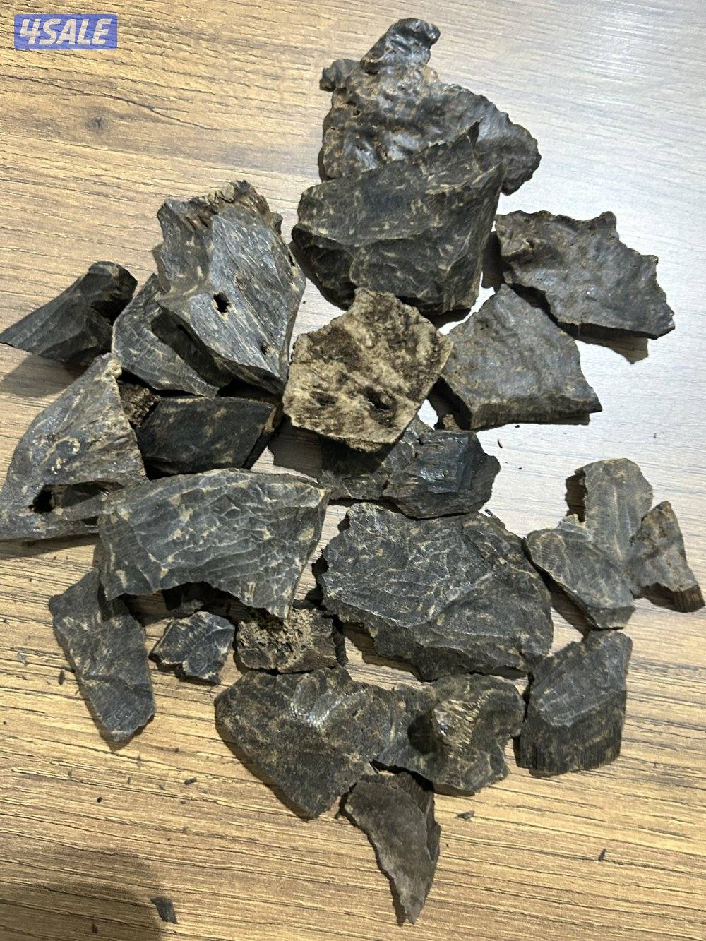 جار فيتنامي استثنائي1