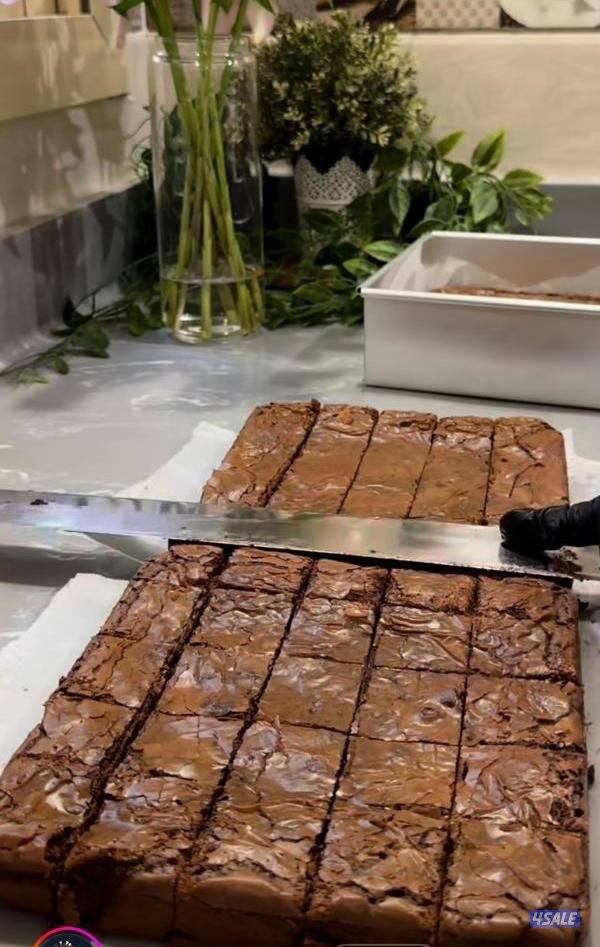 مطلوب مصورة مقاطع فيديو وريلز0