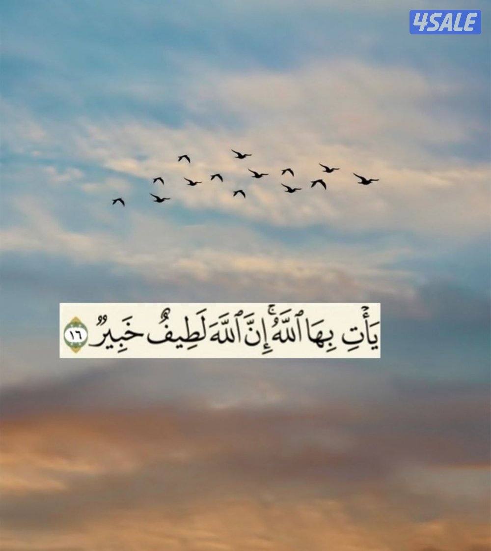 للبيع محل في النخله مول موقع مميز0