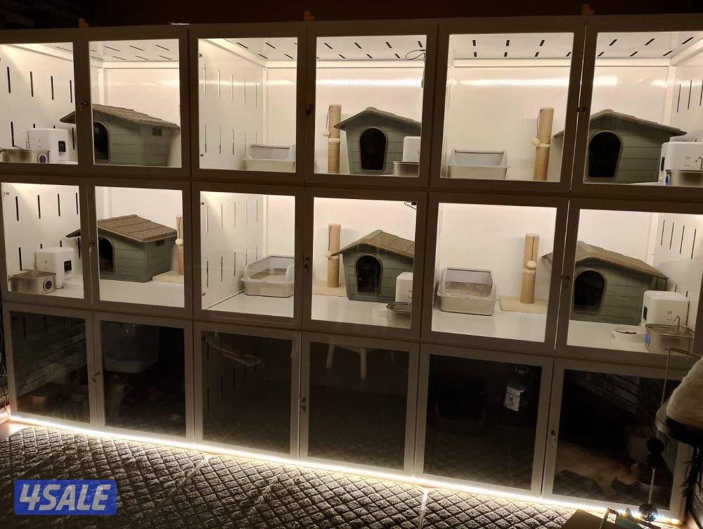 لي محبين القطط2