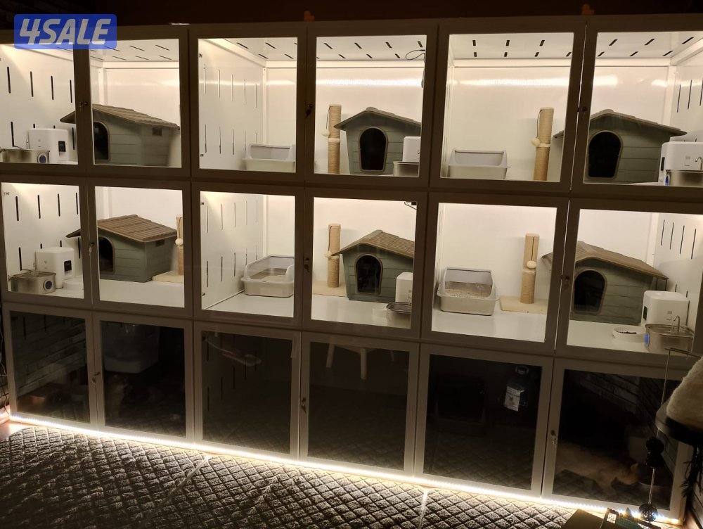 لي محبين القطط2