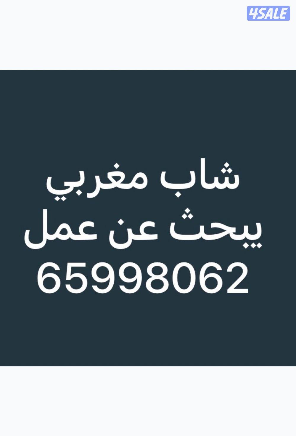 شاب مغربي حاصل على دبلوم علوم الكمبيوتر يبحث عن عمل0