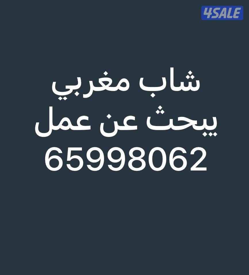 شاب مغربي حاصل على دبلوم علوم الكمبيوتر يبحث عن عمل1