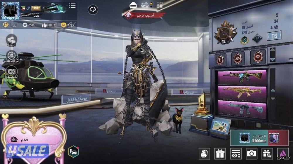 للبيع حساب ببجي الصامل يبشر ب خير1