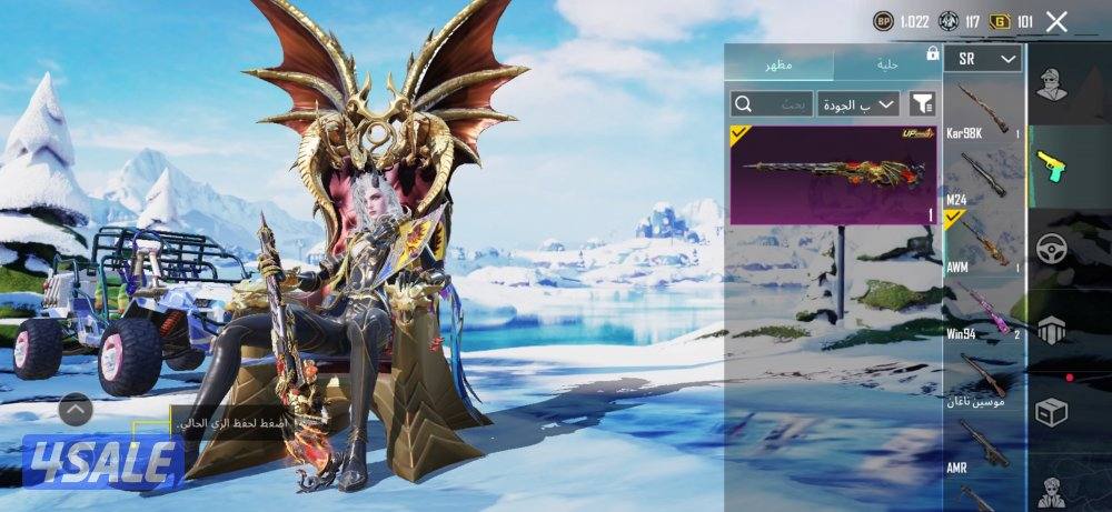 حساب ببجي للبيع8