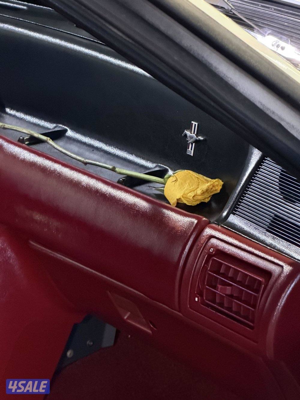 1990 Mustang LX 5.0L  Hatchback6