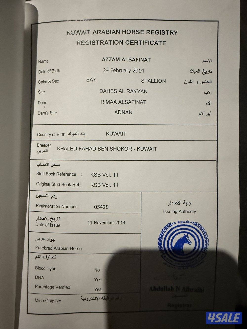 بيور شرط السلم والتحويل0