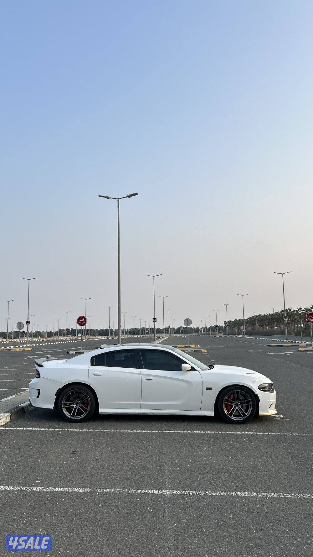 CHARGER SRT BLACK ROOF5