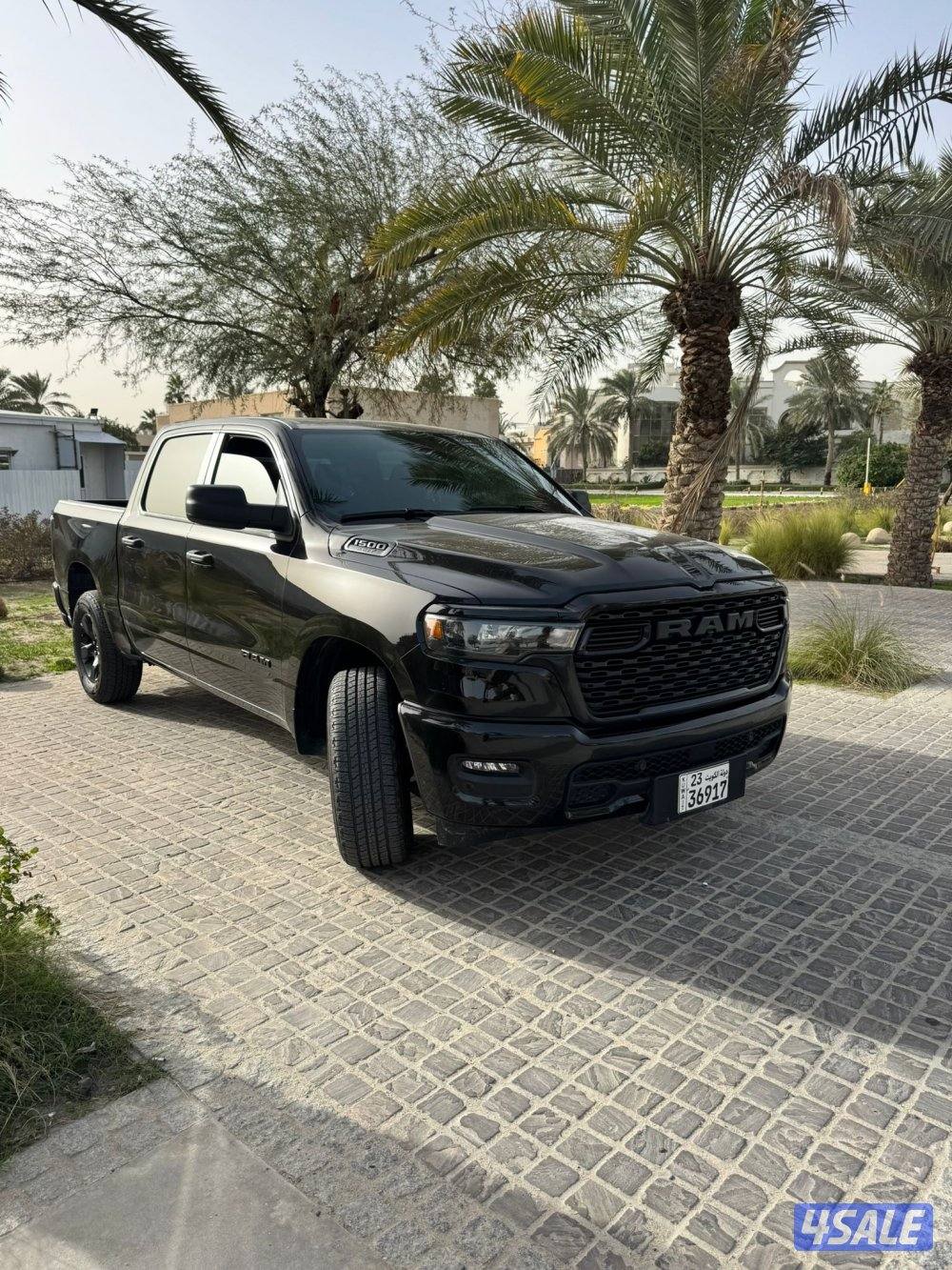 للبيع وانيت دوج رام قمارتين ٢٠٢٥10