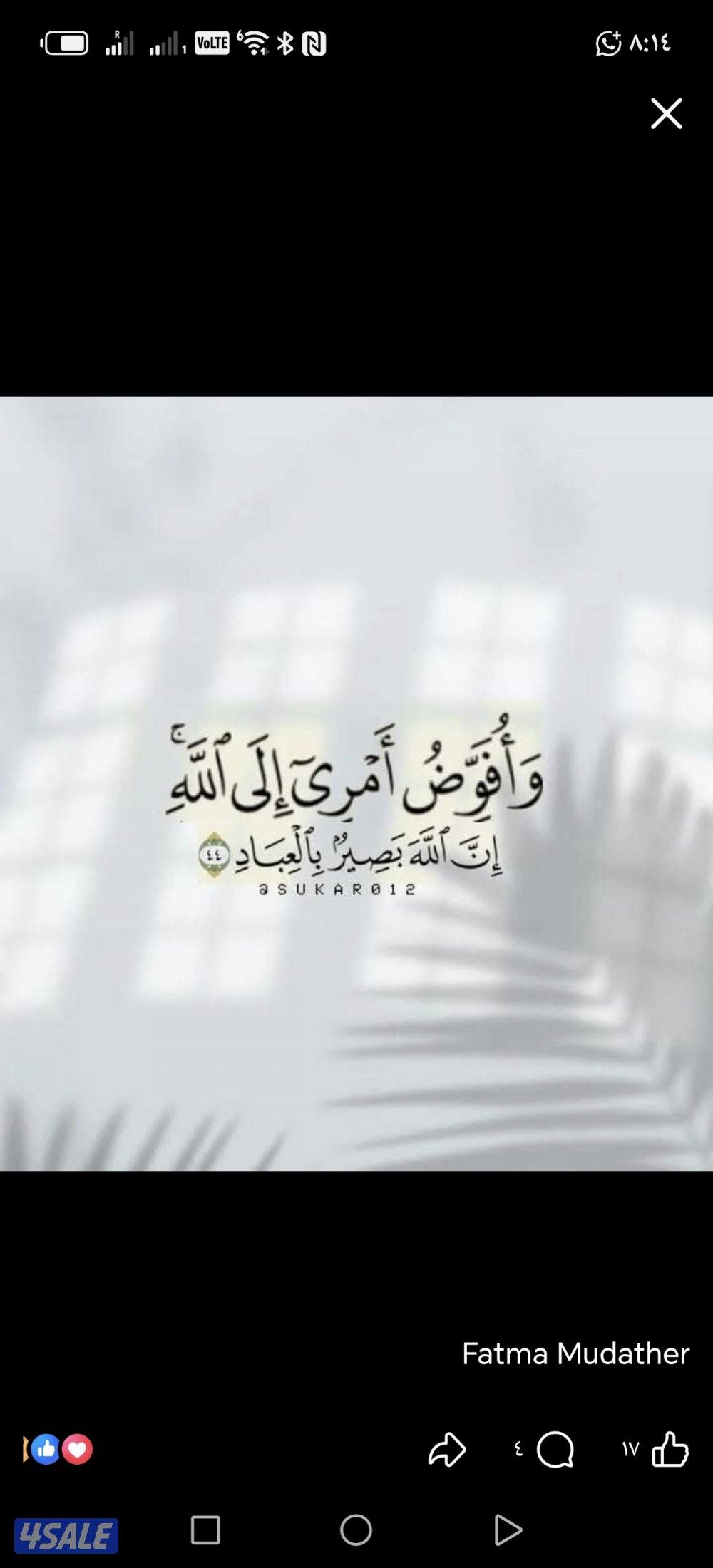 سوداني باحث عن عمل0